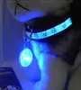 Pet Puppy Night LED LED TWILAR SUVELS PET Supplies هريرة تحذير السلامة من حقائب الظهر المشي لمسافات طويلة