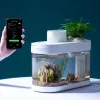 Aquariums Geometry Amfibious Eco Fish Tank Pro Automatisk timing Matning WiFi Smart Box Work med Mijia Full Color Gamut Lighting