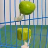 Outro pássaro suprimentos papagaios de fruto alimentador de fruto Pet Plástico de alimentos, alimentando -se de gaiola conveniente para hamster