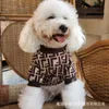 Pet Sweater, grote hond, hondenkleding, herfst- en wintermodemerk, warmer dan de beer, keji, enorm duur, teddy, gouden haar, samoye