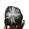 Surowy chrysanthemum Kamień Kamień Nieregularny czarny biały czakra formacja geologiczna kryształowy próbek rocka Wyświetlacza kamień szlachetny Unikalny wystrój domu