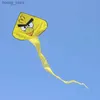 Аксайсы для воздушных змеев Бесплатная доставка птиц воздушных змеев Летающие игрушки Детские змея пляжный змее