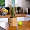 Сумки для хранения Kraft Paper Pot Pot Водонепроницаемый многоразовый контейнер кухня кухня Организатор спальни многоцелевые суккуленты плантатор