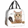 Mignon Scottish Cat Peeking Lunch Sac fuite Picine de pique-nique isolée chaude refroidisseur thermique Boîte à lunch pour femmes Kids Tote Cortainer P5OA #