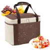 Storage Bags Travel Cooler Bag Fresh Keeping Food Multifunctional Insulated Lunch Tote Box Case Shoulder Strap Refrigerator