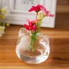 Vases Unique Hydroponic Bottle Easy Changing Water Vase For Home