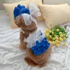 Fashion Puppy Blue Dress Cake Skirt Spring Summer Pet Cat Dog Clothes For Teddy Bichon Pomeranian Small Dog Designer Clothes 240416