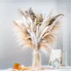 Fleurs décoratives 80 cm duvet grand pampas séché utilisé pour le foyer de mariage décoration haut de gamme souple douce