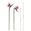 Decorative Flowers 3pcs Artificial Bird Of Paradise Rubber Strelitzia 24.5'' Long Stem Flower Suitable For DIY Home Decor Party Theme Displ