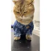 Camicia di denim per animali domestici, cane grande con pelliccia dorata, costosi abiti da cane samo, orsacchiotto, autunno pomeraniano e piastrelle di marea spessa inverno