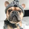 Vêtements pour chiens chapeaux chauds hiver