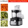 Machine de désir végétale automatique Commercial Carrot Potato Onion Cutter Granular Dicer électrique Slicer multifonctionnel Slicer