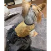 Princess Dog Dress Summer Bright Shirt Tutu kjol Dog kläder för Yorkie Chihuahua Shih Tzu Bowknot Wedding Party Puppy Costume 240416