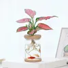 Vazen Hydroponische bloempot Mini Transparant Imitatie Glass Sailless Plant Potten Groene Vase Desktop Bonsai Home Decor