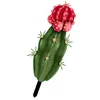 Tuindecoraties decoratie decoratieve inzetstukken versiering gemalen decoratie tuin ornament creatief bord voor inzetten borden cactus