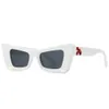 Fashion offs zonnebrillen Cat Eye Y2K Trend Owoff Sunglasse Mens Dames merk uit zonnebrillen