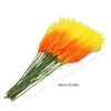 Fleurs décoratives KX4B Élégants Decors intérieurs Artificial Pampas Grass Branch Perfect for Weddings Parties Accent Accent Ajouter le dynamisme à l'événement