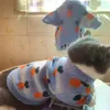 Leche de leche Retrase Cat Dog Brand Sky Sky Blue Sweater Teddy Bomei Fadou Autumn/Winter Pet Worth