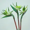 Kwiaty dekoracyjne 3PCS sztuczny ptak raj gumowy Strelitzia 24.5 '' Długie kwiat łodygi odpowiedni do majsterkowiczów