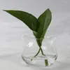 Vases Unique Hydroponic Bottle Easy Changing Water Vase For Home