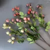 Dekorativa blommor 1 st 3 gafflar gyllene silkefrukt artificiell blomma diy hem blommor arrangemang ornament bröllop fest landskapsarkitektur