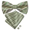 Bow Ties Hi-Tie Rands Green Men slips Hankerchief Cufflink Förbundet Silk Butterfly Knot Bowtie för manlig affärsfest grossist