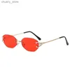 Sunglasses New Retro Small Square Frame Sunglasses Women Sun Glasses Outdoor Sunglasses Girl Eyewear Frame Driver Goggles Car Accessories Y240416