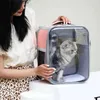 Cat Carriers Crates Home Pet Tarrier с окном для кошки и совершайте транспортные перевозки.