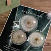 Dekoratif Figürin Reçine Çiçek ile Benzersiz Kristal Top, Alana Zarar Katar Kolayca taşınabilir Dreamball Dandelions 6cm