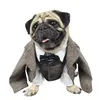 Beau chien smoking bulldog manteau bulldog costumes costumes Cat Vêtements 240411