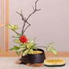 Vases Tool à disposition florale Sun Moon Flower Solder en acier inoxydable Frog pour le vase de bricolage