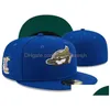 Tapas de pelota All Team Logo Designer Hats ajustados Snapbacks Football ajustable Carta informal Flat Outdoor Bordery Casquette CL DHJ9C