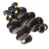 Nertsen Braziliaanse rechte maagd weeft 100 g/pc 3 stcs/lot dubbele inslag natuurlijke zwarte kleur menselijke remy hair extensions