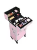 Professionele make -upcase 3 in 1 Portable Trolley Black Organizer Travel Bagage Cosmetic Bag Train 240416