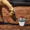 Mugs Handle Bucket Feed Horse Feeding Water Portable Commode Horses Stainless Steel Metal