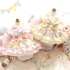 Spring and summer pet clothing dog clothes cat sweetheart bunny tutu skirt Teddy small 240411