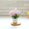 Fleurs décoratives 1pc mini plantes artificielles bonnais petits faux pour le bureau de jardin de la maison