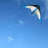 Acessórios de pipa recém-chegados de 48 polegadas azuis Profissional Double Line Stunt Kite com alças e uma fábrica de vôo bem projetada Sair Y240416