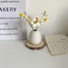 Wazony kreatywne ceramiki wazon kwiatowy Nordic Hydroponika ins Plant Desktop Crafts Dekoracja salonu