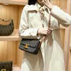 High end Designer bags for women Celli Underarm Bag New Womens SpringSummer Popular end Small Stand Genuine Leather Crossbody Stick Bag original 1:1 with real logo,box