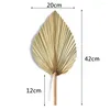 Dekorativa figurer 2st Palm Fan Leaf Dried Flower Mini Leaves i olika former Pampas gräsgrenar DIY Bröllopsdekorationer hem