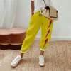 Calças femininas Primavera Parrot Prind Prind Women Women Trendy Loose Casual Y2K Streetwear Holiday Quality Troushers Roupfits elegantes elegantes