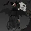 Kattdräkter 1/2/3st Halloween Pet Dog Bat Vampire Cosplay Söta roliga vinge gåvor kostym PO rekvisita huvudbonader