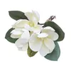 Dekorativa blommor magnolia stam blomma faux bröllop bukett vas blommor arrangemang zinnia