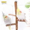 Andra fågelförsörjningar Natural Wood Branch Stand Abbores Pet Parakeet Budgie Hanging Play Toy Cage Parrot Wood Desk Holder Platform