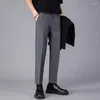 Pantalon masculin 2024 costume de mode printemps et automne coréen à neuf points plissés pantalon formel pantalon masculin