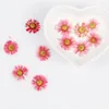 Decorative Flowers 60pcs Pressed Dried Erigeron Annuus Flower Plants Herbarium For Wedding Party Home Pendant Necklace Craft DIY Accessories