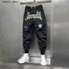 Pantalon pour hommes Hip Hop Harem Pantalon Mens Broidered Harajuku Bag Jogger Pantalon Sports Luxury Brand Coton Coton Panton de créateur Populaire Clothing Street Q240417