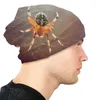 Berets Spider Thin Bonnet Homme Sport Straszne czapki czapki czapki czapki czapki