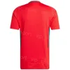 24 25 Euro Cup Soccer Wales Jerseys National Team 9 Johnson 20 James 11 Bale Ramsey Davies Ampadu Wilson Williams Hennessey Gunter Morrell Football Shirt Mens